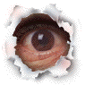 eye14100 eye14100